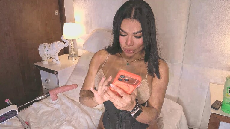 Amylewiss's Streamate show and profile